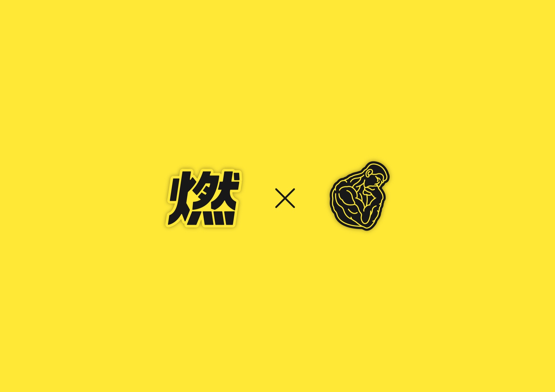 燃Plus品牌资料第4页